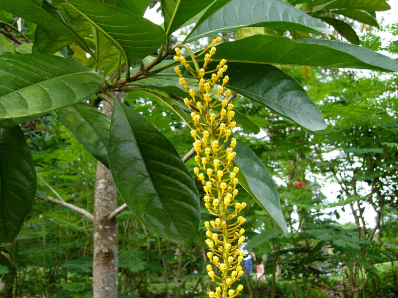 植物公园 – 花卉4 摄影 七滨逍遥