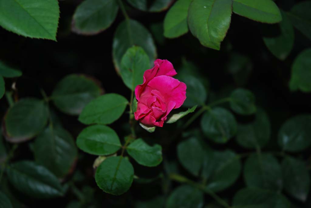 深夜静芳 摄影 穷人为孩子