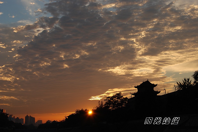 夕阳 摄影 阳光灿烂中