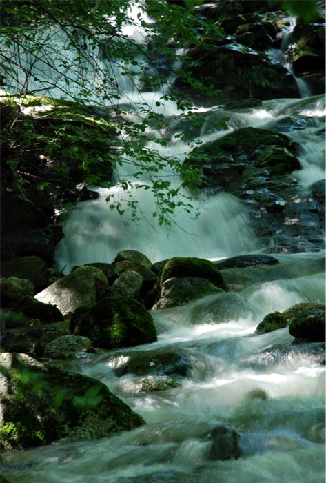 高山流水——11 摄影 独上江楼望月