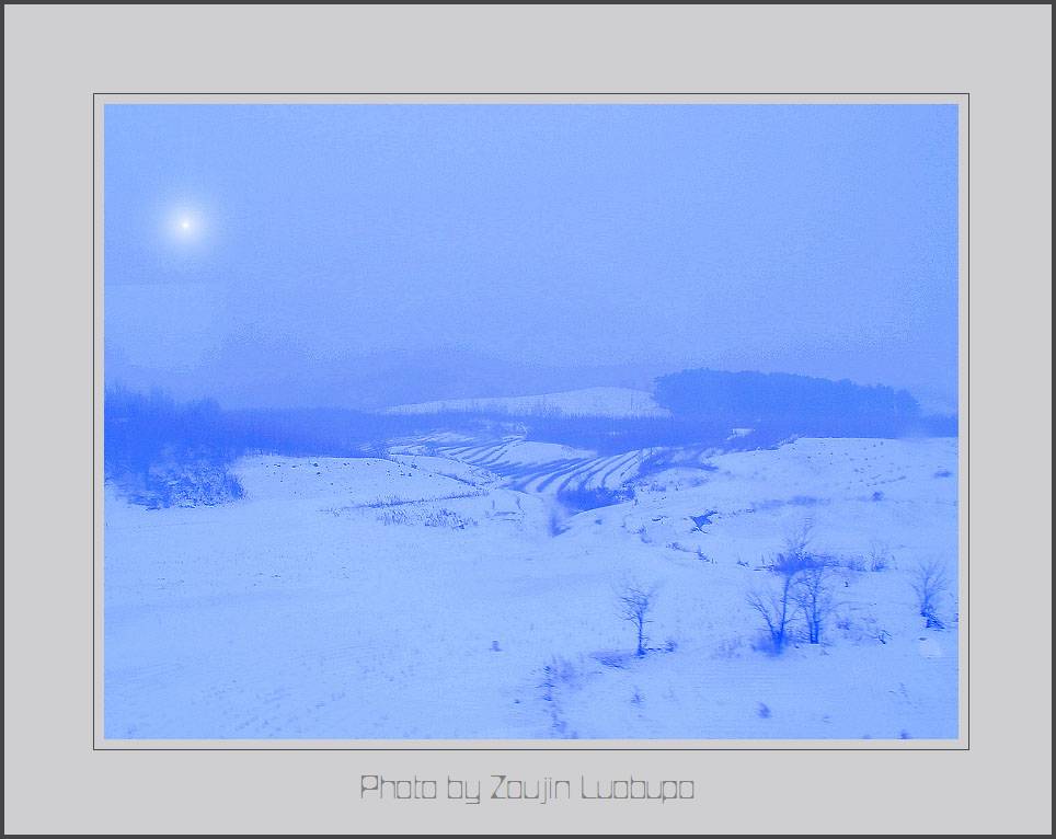 雪野 摄影 走进罗布泊