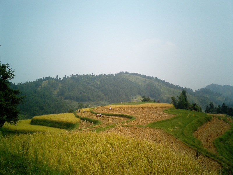 山乡秋色 摄影 閒雲野鹤