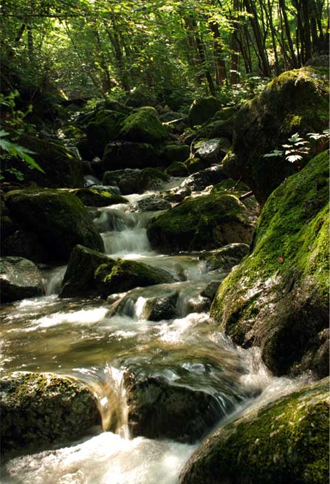 高山流水——12 摄影 独上江楼望月