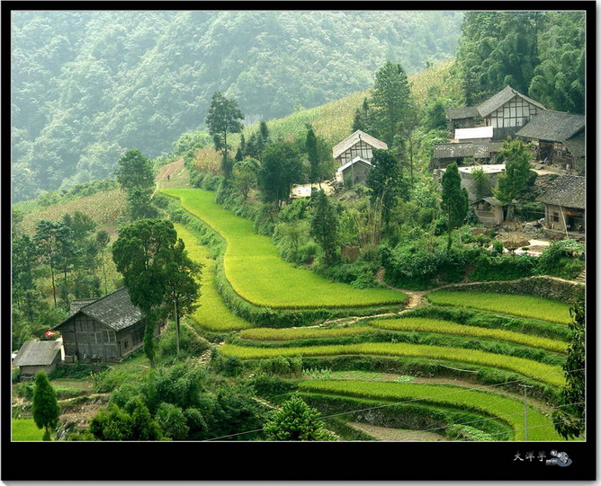 乡村小景 摄影 sgzx80430