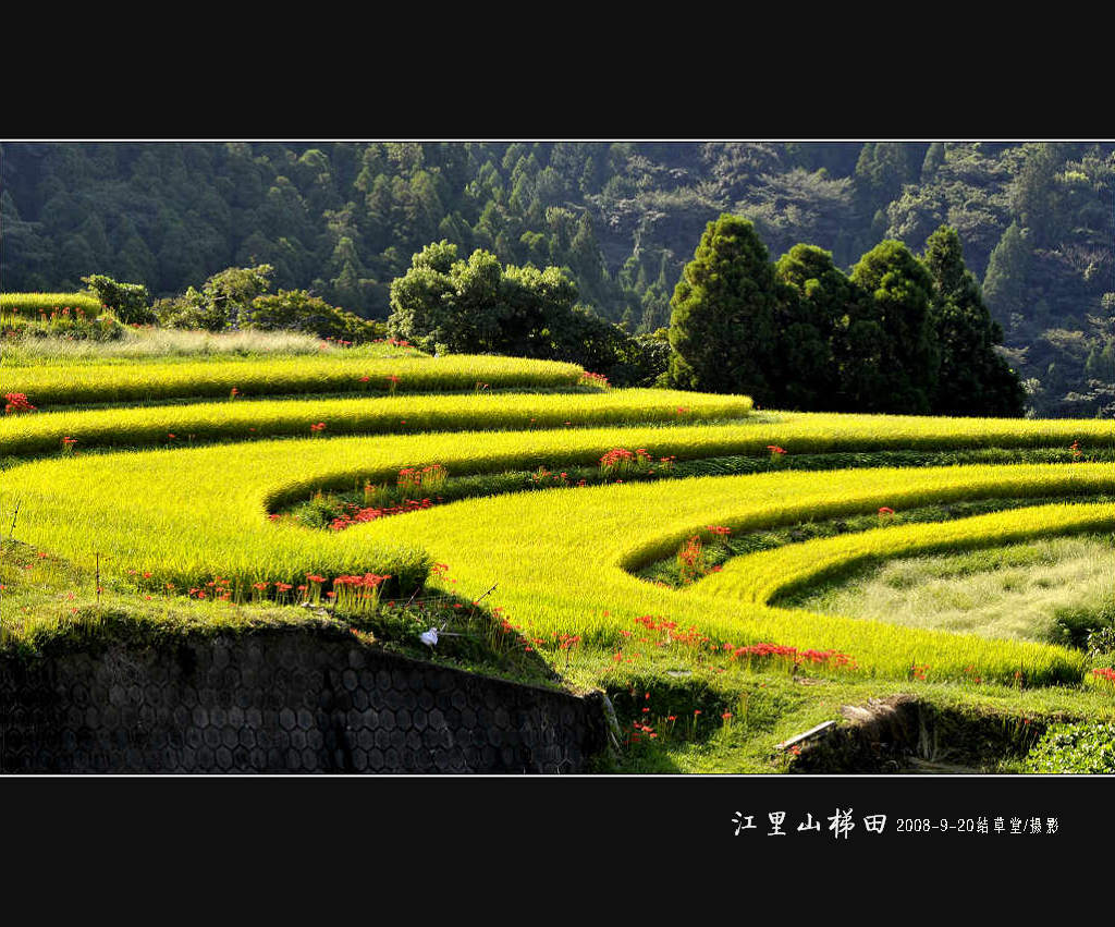 江里山梯田 摄影 结草堂