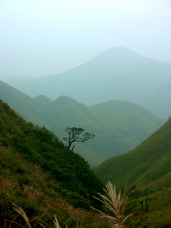 大山 摄影 石山人