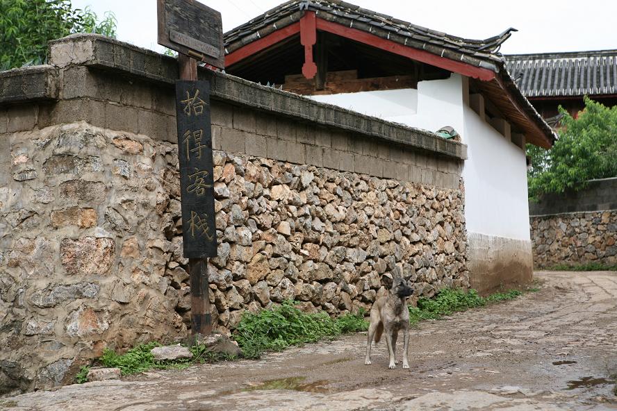 等待 摄影 别名宝古佬