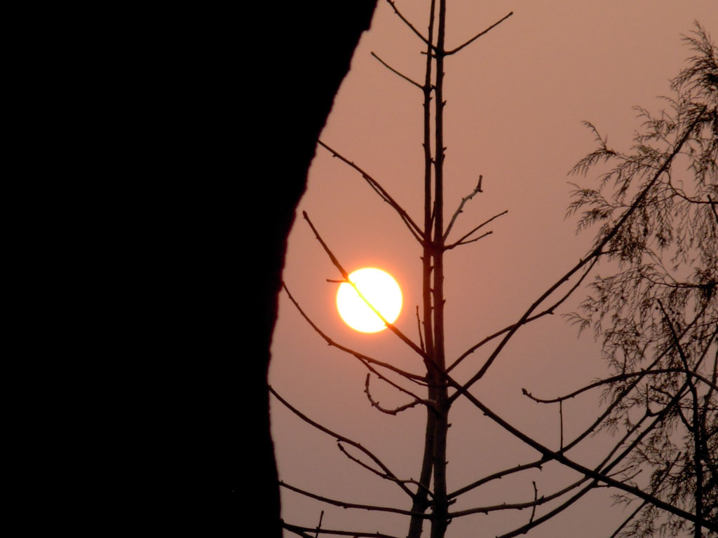 夕阳 摄影 殘葉冰封