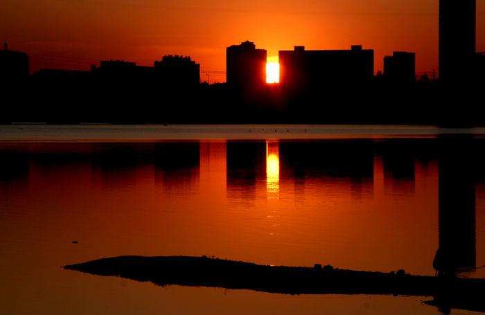 夕阳 摄影 蓝月影视