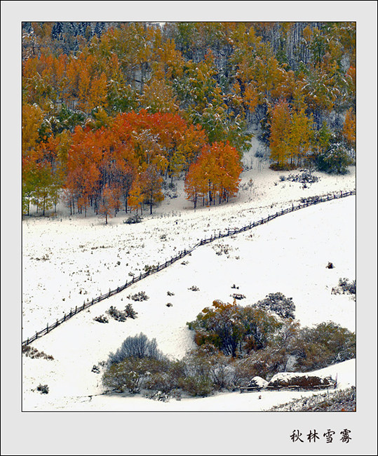 《如画的雪域》 摄影 余姚彤影