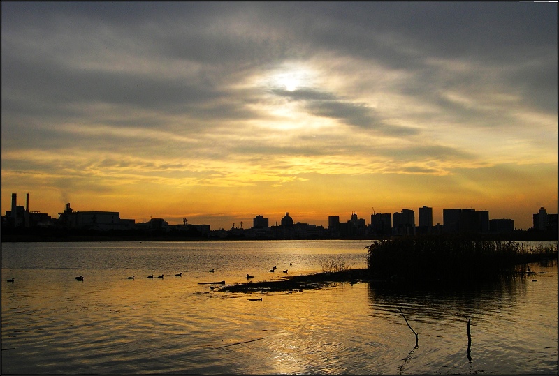 多摩川夕照 摄影 西风胡杨