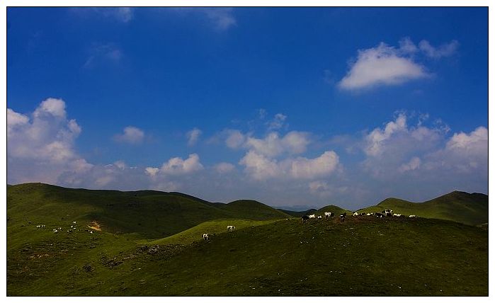 南方草原--城步南山 摄影 土木人