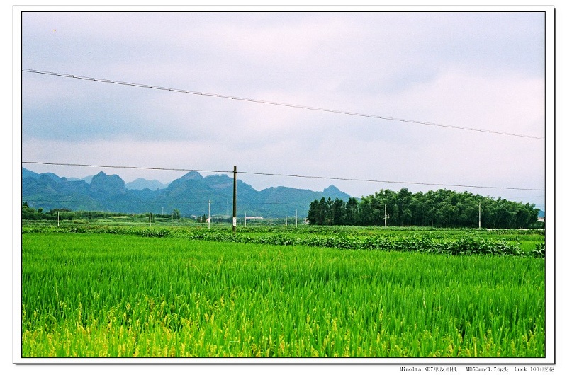 农田(三) 摄影 观察者