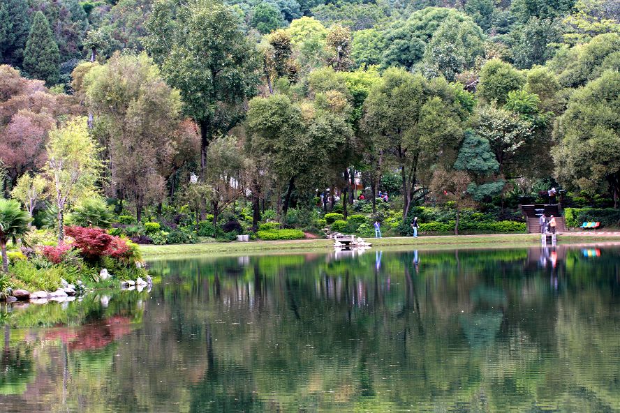 蝴蝶泉美景 摄影 雍正王朝