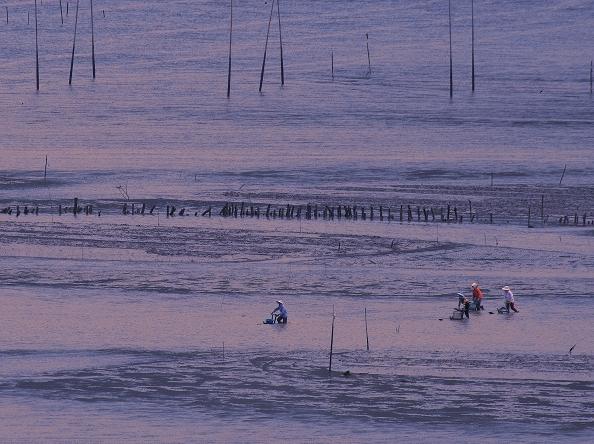 海上轻骑兵 摄影 随浪