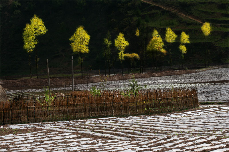 凉山乡村小景 摄影 巴渝边民