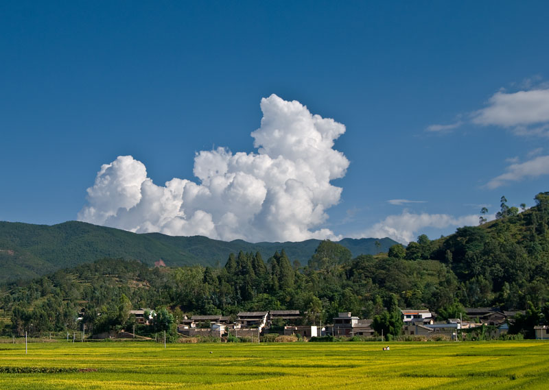 丰收在望 摄影 清水海