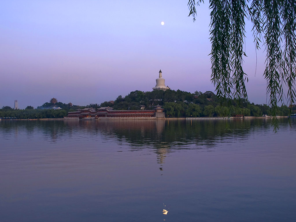 月夜碎影 摄影 姚顺