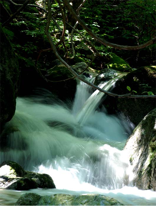 高山流水——18 摄影 独上江楼望月