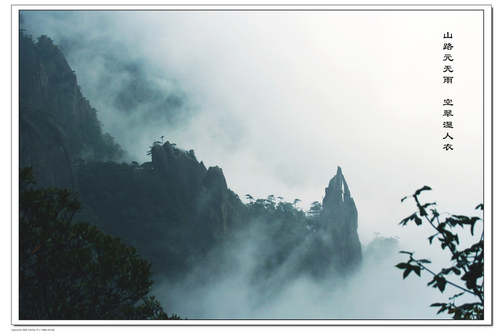 山路元无雨，空翠湿人衣　 摄影 寒柳