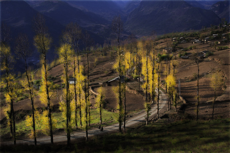 凉山农村小景 摄影 巴渝边民