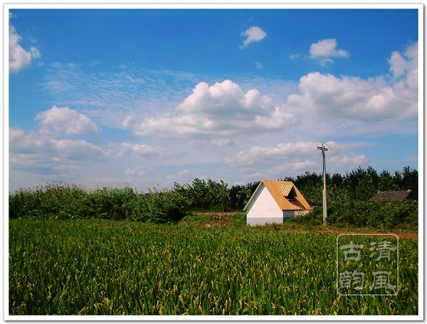 乡村秋日小景 摄影 清风古韵