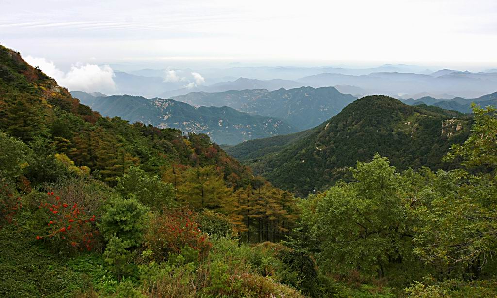 秋雨瑟瑟拜泰山（1） 摄影 潜望镜002