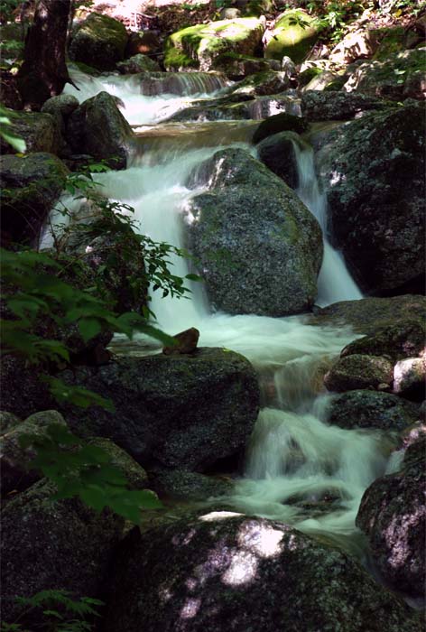 高山流水——20 摄影 独上江楼望月