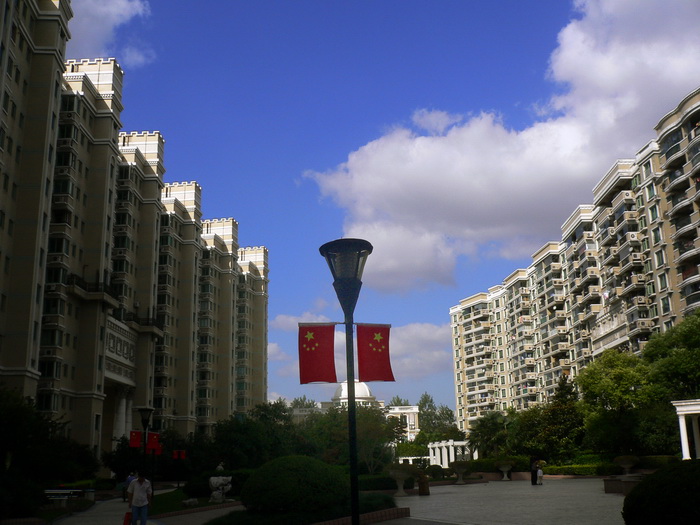 小区迎国庆 摄影 老小无欺