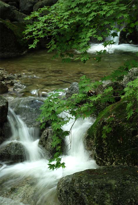 高山流水——22 摄影 独上江楼望月