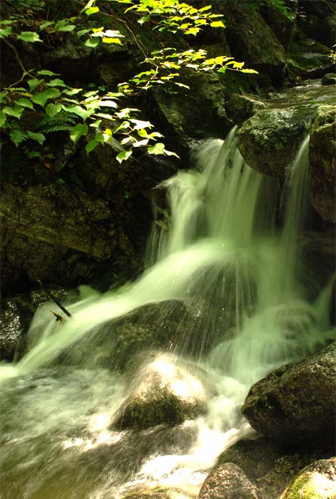 高山流水——23 摄影 独上江楼望月