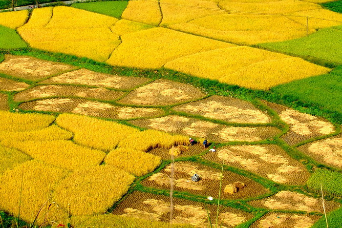 [原创]田园风光 摄影 韶关老包