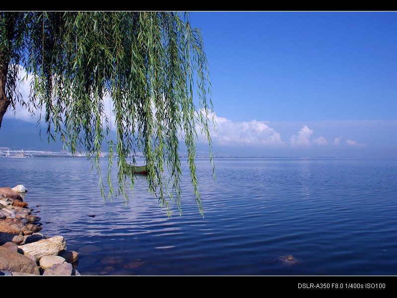 洱海之蓝 摄影 心忆已久