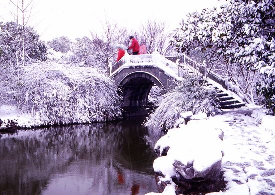 雪景 摄影 陈树伟