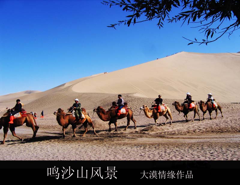 鸣沙山风景 摄影 大漠情缘