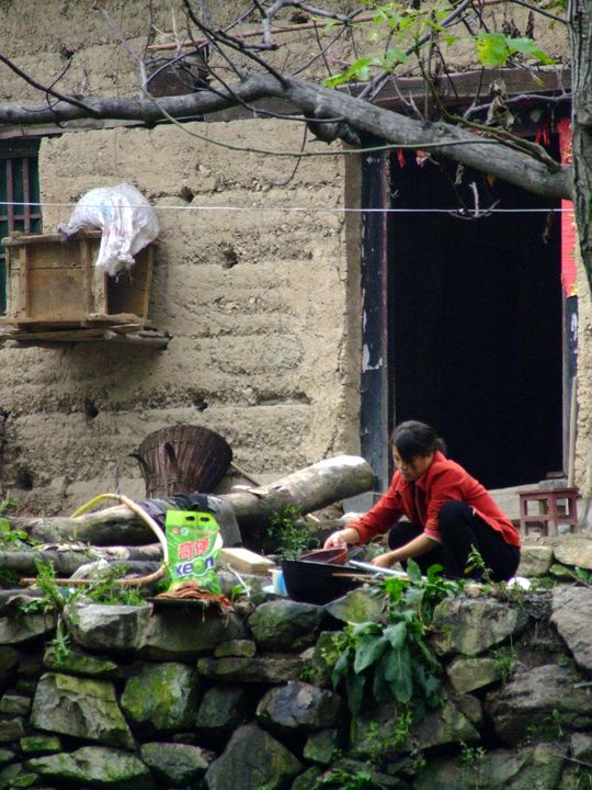 农家小景 摄影 年年