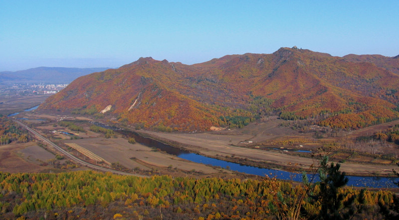 漫山红遍 摄影 树梢上的月亮