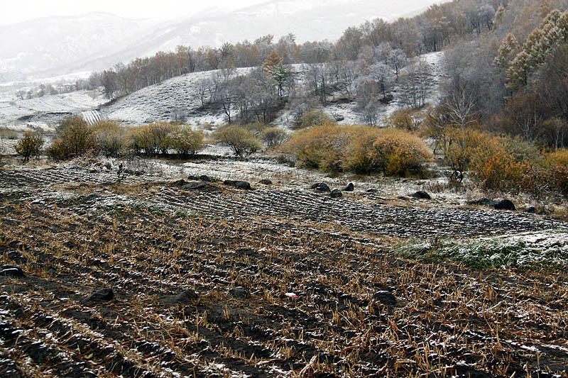 坝上初雪 摄影 我的文文