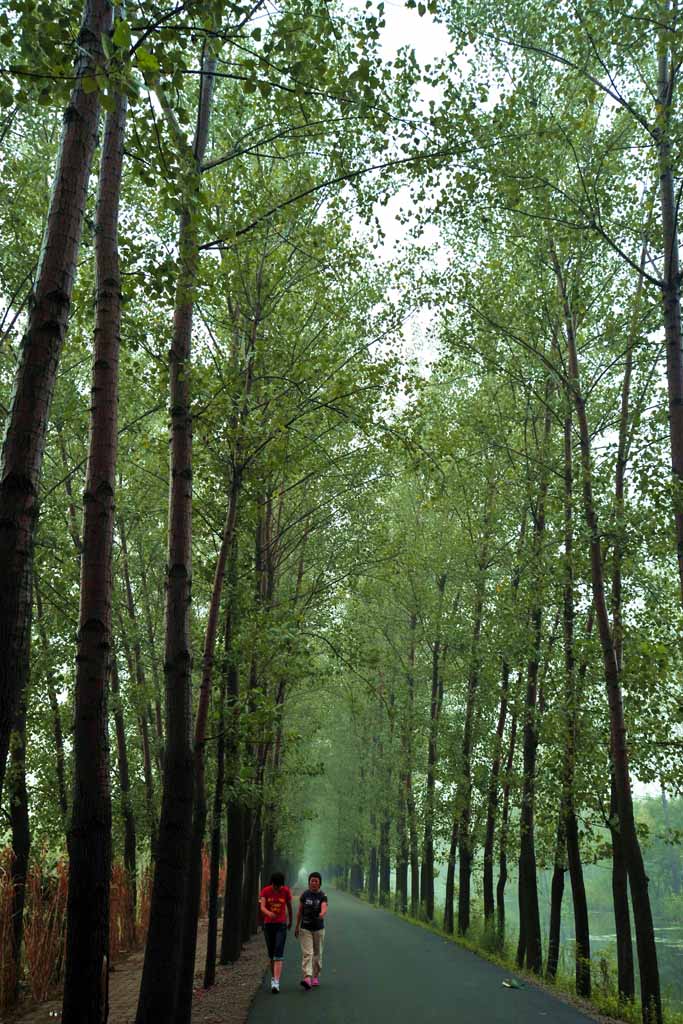 绿色通道 摄影 隔海遥望