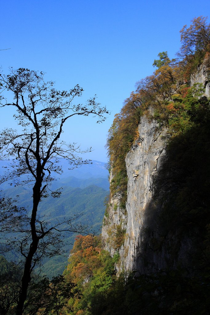 对视 摄影 秦雁晓月