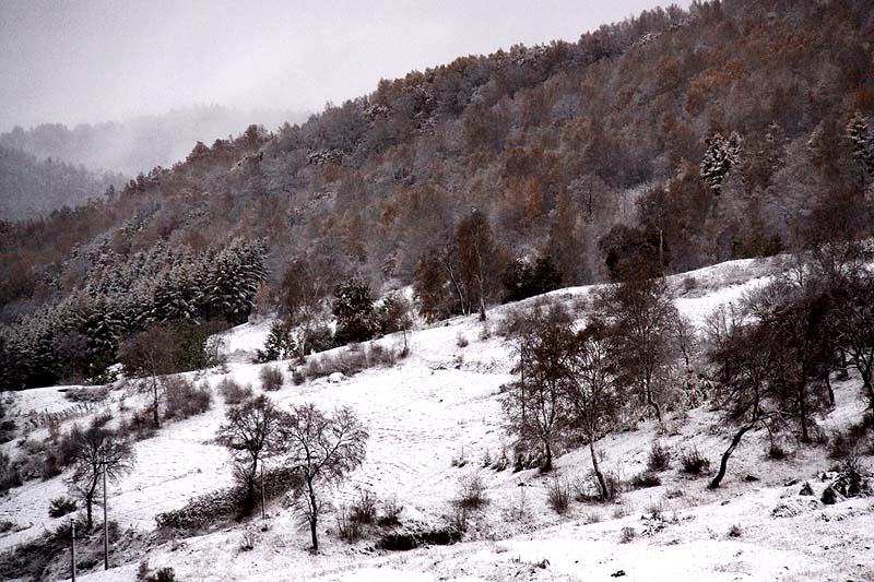 坝上初雪 摄影 我的文文