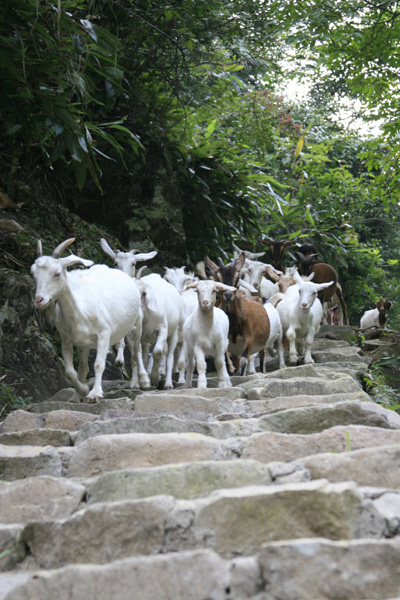 暮归·冲 摄影 兰幽香风定