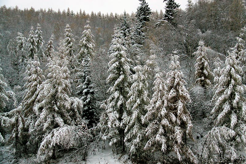 坝上初雪 摄影 我的文文