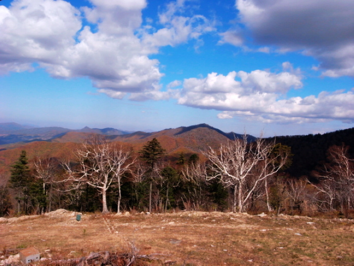 风景 摄影 金色乌鸦