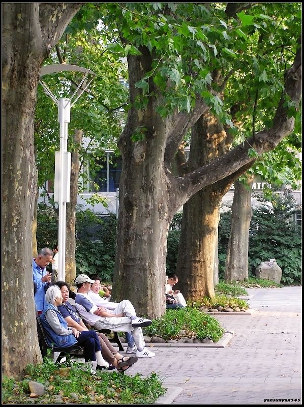 温馨的夕阳---国庆扫街之四 摄影 闲散的人