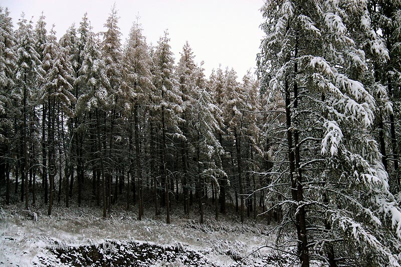 坝上初雪 摄影 我的文文