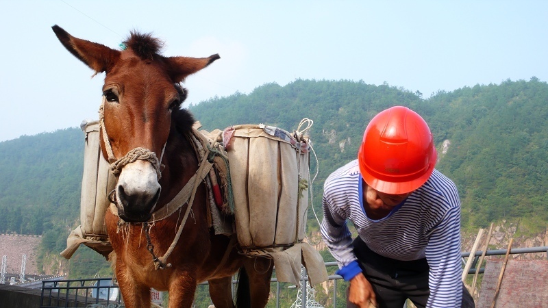 伙伴 摄影 烂柯山