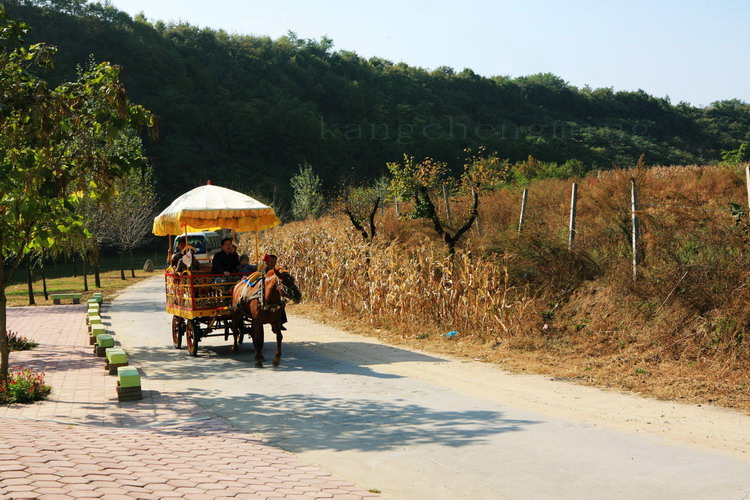 旅游风景 摄影 askcm