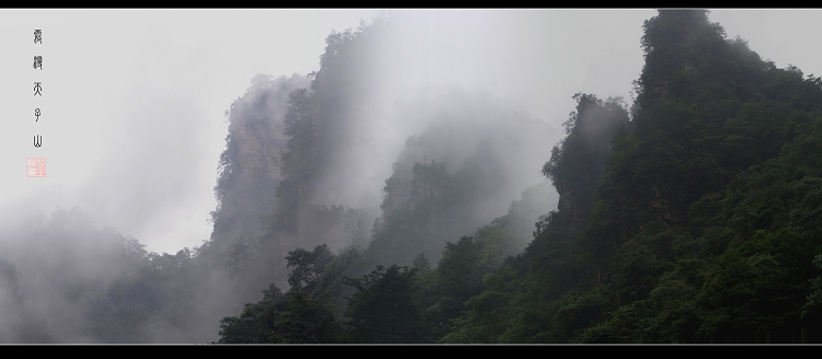 雾漫天子山 摄影 sunrise2006