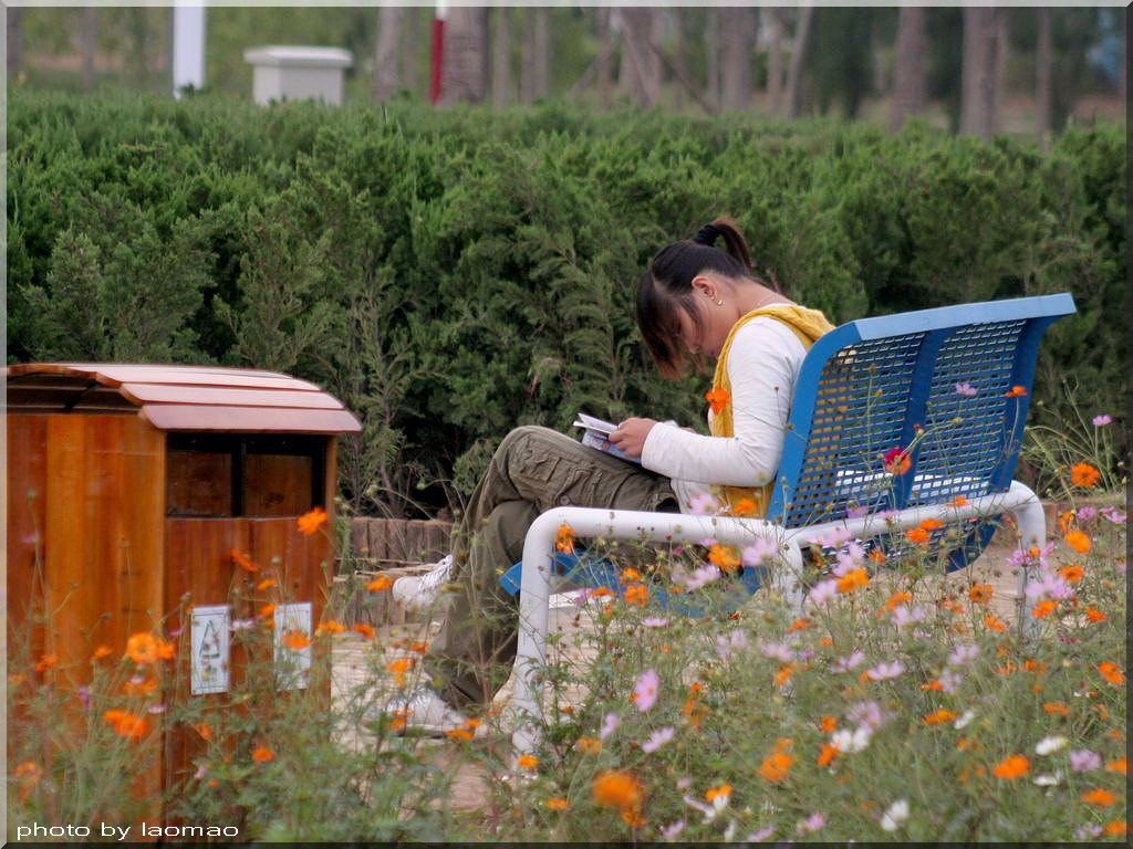 花丛 摄影 郑州老冒